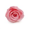 Róża Stabilizowana Baby Pink okladka