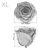 Rose Size