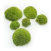 Ball Moss - kopečkový mech - světle zelená - 200g - FR