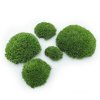 Ball Moss - kopečkový mech - středně zelená - 200g - FR