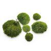 Ball Moss - kopečkový mech - tmavozelený - 0,10m2 - FR
