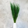 Lepidium Butelkowe Suszone