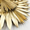 Palm SUN Gold Palma suszona zlota zbl