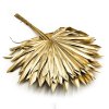 Palm SUN Gold Palma suszona zlota okl
