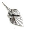 Palm Spear Silver Palma suszona srebrna okl