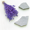Sušená Silene - (Silene vulgaris) - Levanduľová