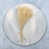 Sušený Broom Bloom - Bielená