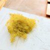 Sušený Broom Bloom - Žltá
