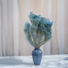 Sušený Broom Bloom - Modrá