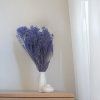 Sušený Broom Bloom - Levanduľová