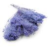 Sušený Broom Bloom - Levanduľová