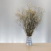 Stabilizovaný Šater prémium - (Gypsophila) - přírodní bílá