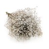 Stabilizovaný Šater prémium - (Gypsophila) - přírodní bílá