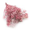Stabilizovaný Šater prémium - (Gypsophila) - hot pink
