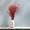 Stabilizovaný Šater prémium - (Gypsophila) - červený