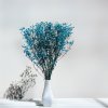 Stabilizovaný Šater prémium - (Gypsophila) - modrý