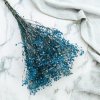Stabilizovaný Šater prémium - (Gypsophila) - modrý