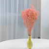 Sušený Broom Bloom - Perleťovo ružová