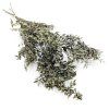 Sušený Ruskus - (Ruscus) - Prírodný