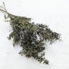 Sušený Ruskus - (Ruscus) - Prírodný