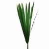 Papirus