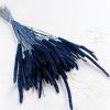 Sušený Bojínek luční - Modrý