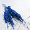 Sušená Pampová tráva MINI - Modrá 10 ks