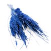 Sušená Pampová tráva MINI - Modrá 10 ks