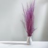 Sušená tráva Agrostis - Lila