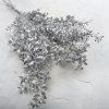 Stabilizovaný Ruskus - (Ruscus) - Strieborný