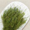 Řeřicha (Lepidium sativum) - Zelené