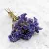 Sušená Limonka chobotnatá (Limonium sinuatum) - Modrá