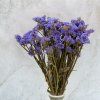 Sušená Limonka chobotnatá (Limonium sinuatum) - Modrá
