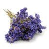 Sušená Limonka chobotnatá (Limonium sinuatum) - Modrá