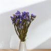 Sušená Limonka chobotnatá (Limonium sinuatum) - Modrá