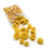 Sušené hlavičky Slaměnky (Helichrysum) - Žltá