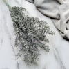 Stabilizovaný Ruskus - (Ruscus) - Matne zelený