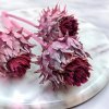 Sušený Artičok – Cynara – Frosted Erika