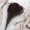 Sušený Broom Bloom - Čokoládová