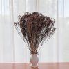 Sušený Broom Bloom - Čokoládová