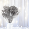 Sušený Broom Bloom - Strieborná
