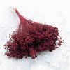 Sušený Broom Bloom - Bordová