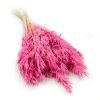 Sušený oves - Fuksia
