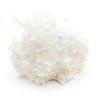 Stabilizovaná hortenzie (Hydrangea Cabeza) - Royal - Bielená