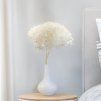 Stabilizovaná hortenzie (Hydrangea Cabeza) - Royal - Bielená
