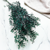 Stabilizovaný Ruskus - (Ruscus) - Zelený
