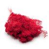 Sušený Broom Bloom - Červená
