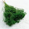 Sušený Broom Bloom - Zelená