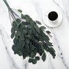 Stabilizovaný eukalyptus Populus - Fľaškovozelený