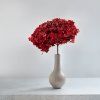 Stabilizovaná hortenzie (Hydrangea Cabeza) - Royal - Burgundy